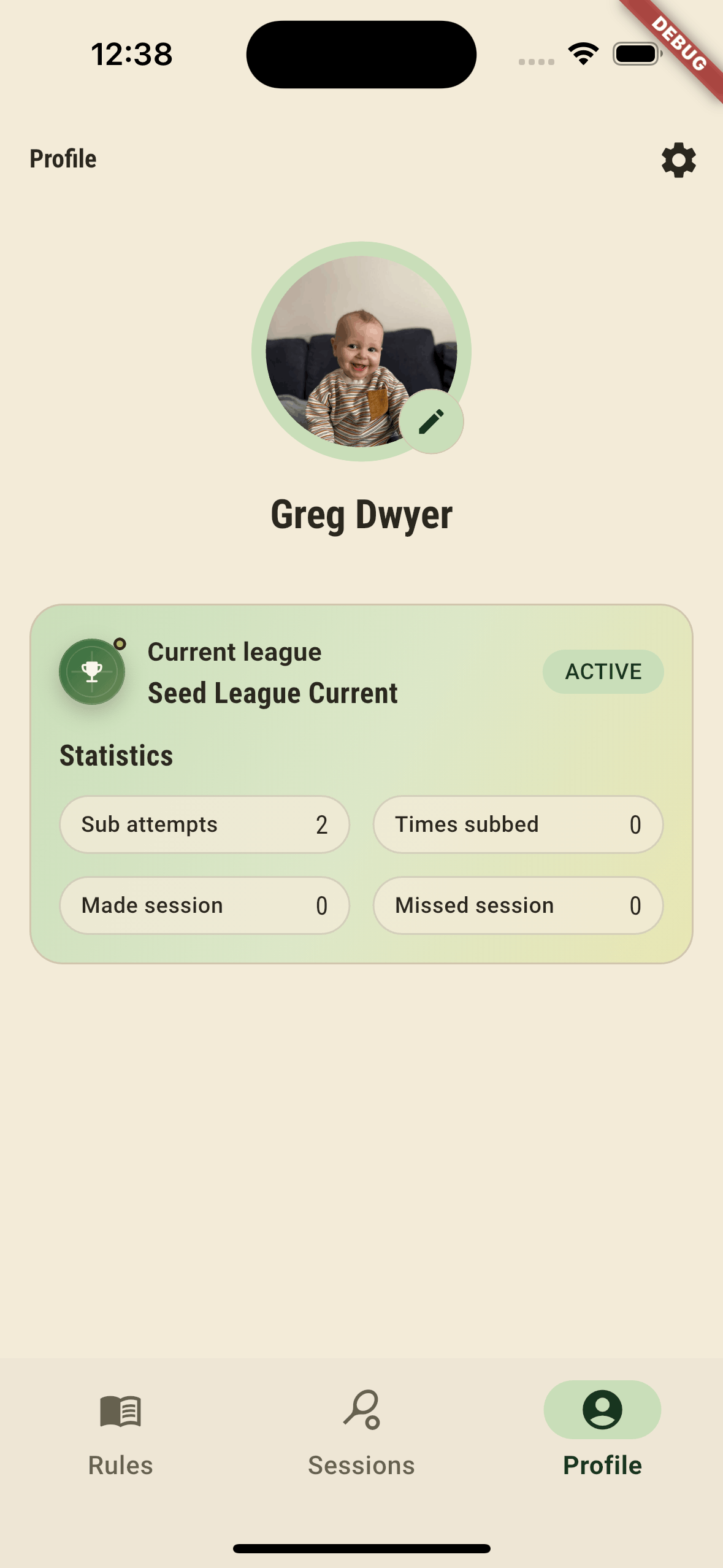 Player profile and stats screen